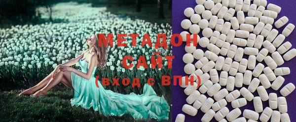 индика Арсеньев