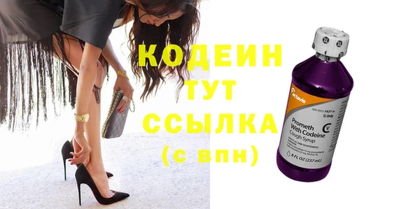 индика Арсеньев