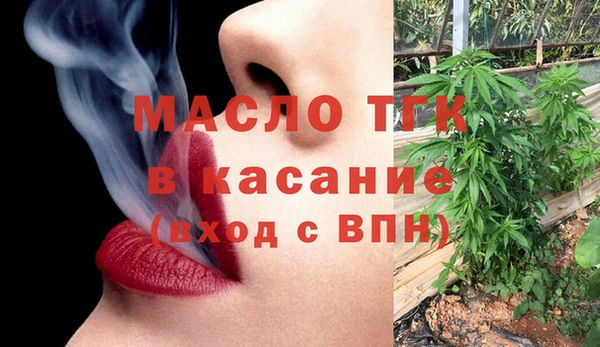 индика Арсеньев