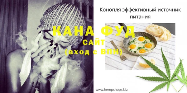 индика Арсеньев