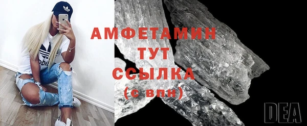 индика Арсеньев