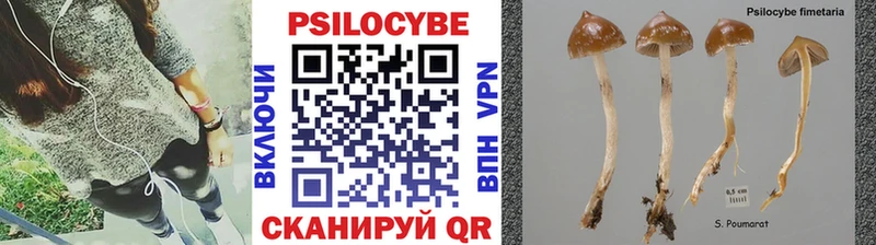 Галлюциногенные грибы мицелий  Нижний Ломов 